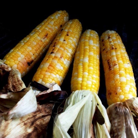 Grilled Corn